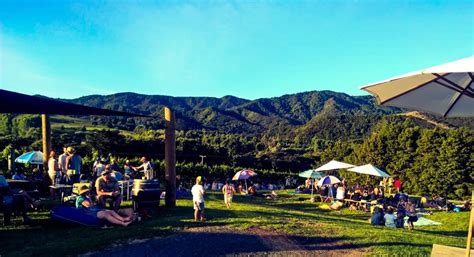 Te Whai Bay Wines Bay Of Islands & Northland