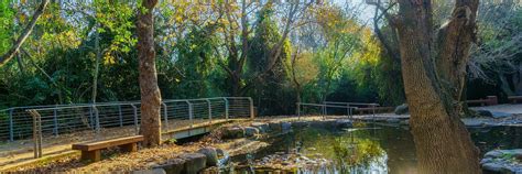 Tel Dan Nature Reserve Upper Galilee & Golan