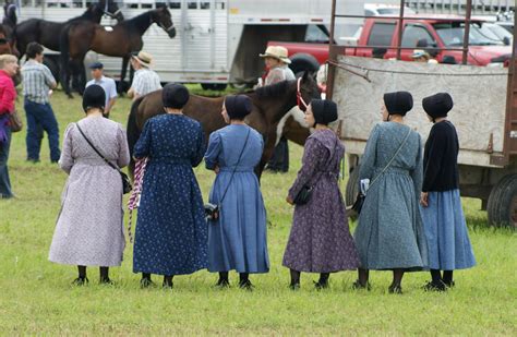 The Mennonite Story Southwestern Ontario