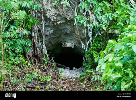 Thousand Man Cave Peleliu