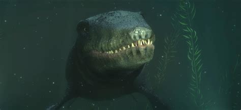 Time Tripper Queenstown