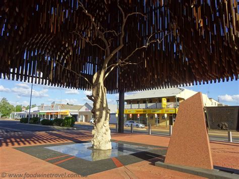 Tree of Knowledge Memorial Outback Queensland