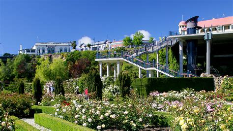 Trevor Griffiths Rose Garden Timaru