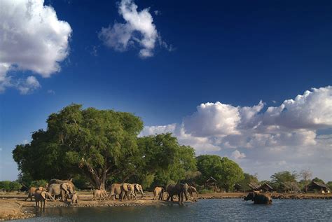 Tsavo East National Park Kenya