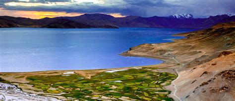 Tso Moriri Ladakh