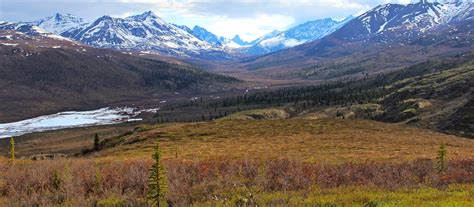 Tuktut Nogait National Park Northwest Territories