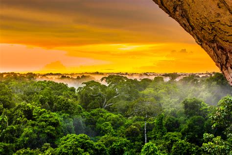 Tumucumaque National Park The Amazon