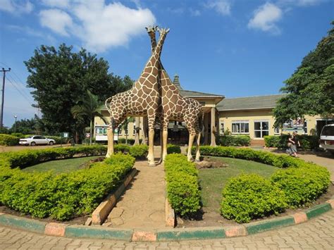Uganda Wildlife Education Centre Entebbe