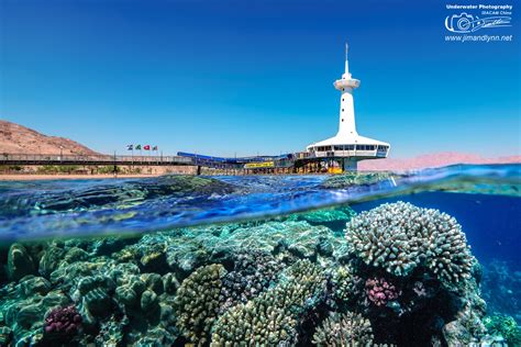 Underwater Observatory Marine Park Eilat