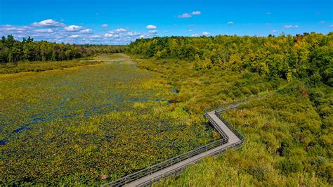 Upper Canada Migratory Bird Sanctuary Eastern Ontario