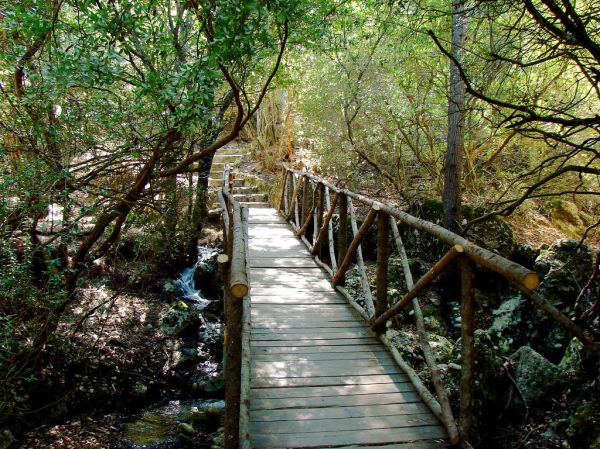 Valley of the Butterflies Rhodes