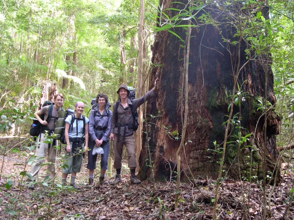 Valley of the Giants Fraser Island