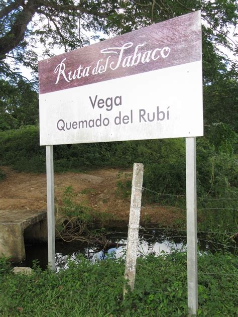 Vega Quemado del Rubi Pinar Del Río Province