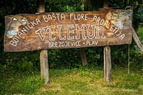 Velemun Botanic Garden Northern Montenegro