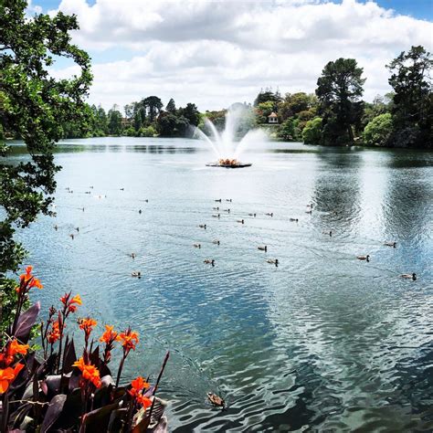 Virginia Lake Whanganui