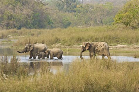 Visitor Centre Bardia National Park