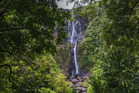 Wairere Falls Bay Of Plenty