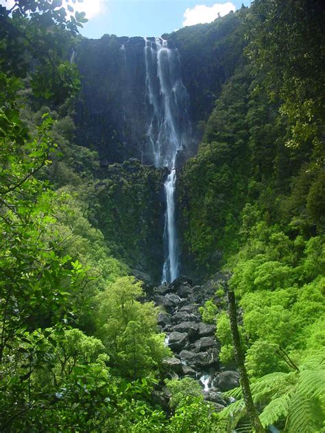 Wairere Falls Waikato & The Coromandel Peninsula