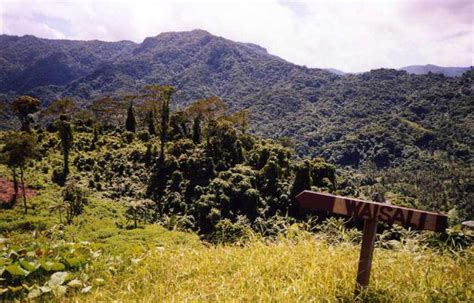 Waisali Rainforest Reserve Vanua Levu