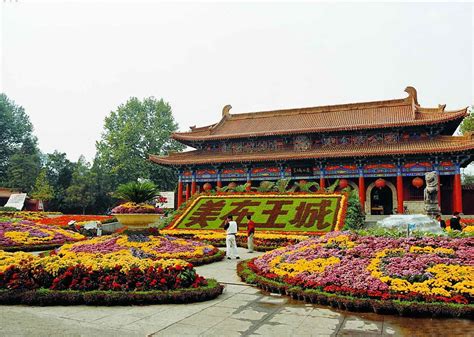 Wangcheng Park Henan