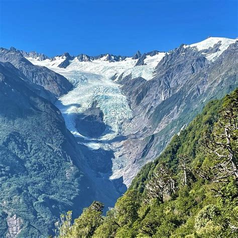 West Coast Wildlife Centre Franz Josef Glacier