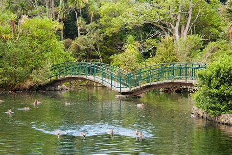 Western Springs Auckland