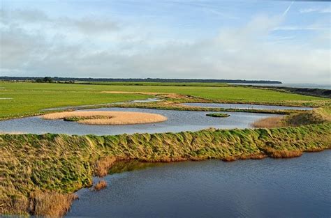 Wexford Wildfowl Reserve County Wexford