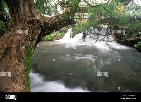 White Horse Dragon Pool Lijiang