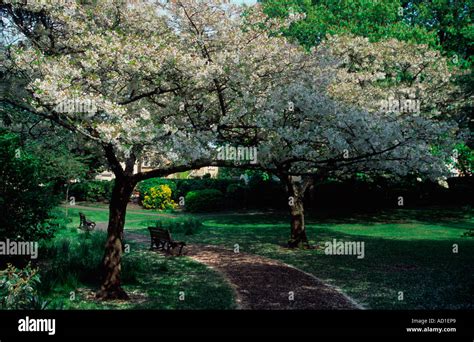 White Spring Bristol, Bath & Somerset