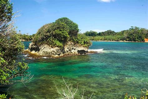 Wild Cane Key Caribbean Coast