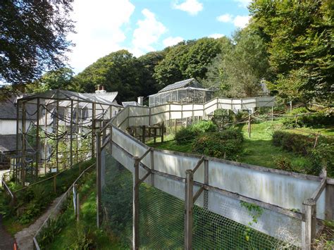 Wild Futures Monkey Sanctuary South Cornwall