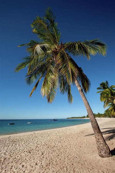 Wimbi Beach Pemba