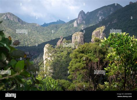 Windy Canyon Lookout Hauraki Gulf Islands