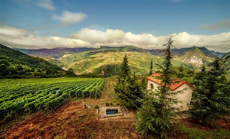 Winery Khareba Kakheti