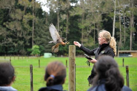 Wingspan Rotorua