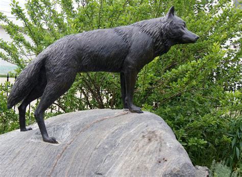 Wolf Statues Northern Manitoba