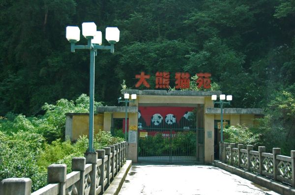 Wolong Giant Panda Garden Sichuan