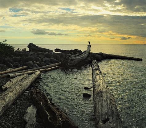 Wreck Beach Vancouver