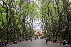 Xiangyang Park French Concession