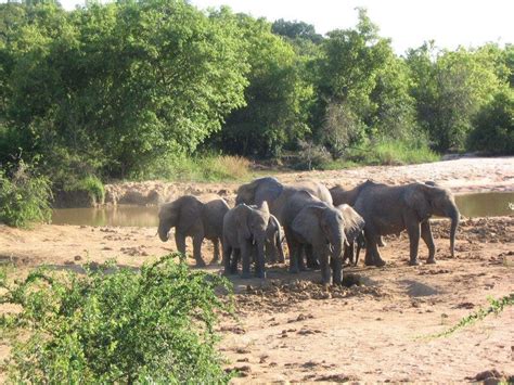 Yankari National Park Nigeria