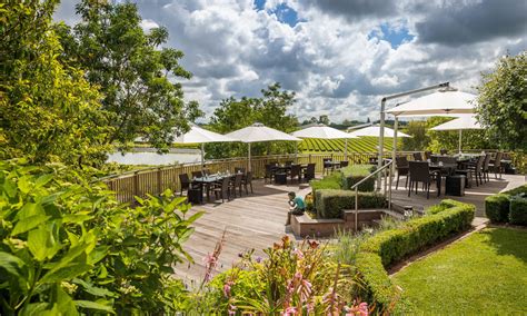 Zealong Tea Estate Hamilton