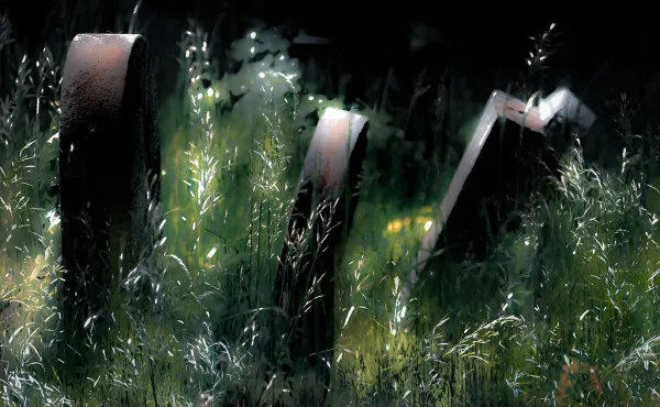 Zentralfriedhof Vienna